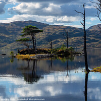 Buy canvas prints of Assynt Loch & Tree Reflections Scottish Highlands  by OBT imaging