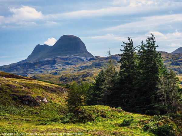 Suliven Mountain Assynt Scottish Highlands Picture Board by OBT imaging