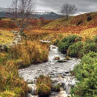 Buy canvas prints of Moorland Stream Ben Rinnes Scotland by OBT imaging