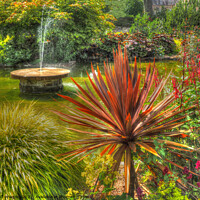 Buy canvas prints of Fountain and Fabulous Foliage Garden Scotland by OBT imaging