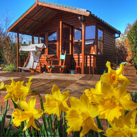 Buy canvas prints of Daffodil Summerhouse Scotland by OBT imaging