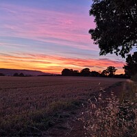 Buy canvas prints of Sunset Mollington Oxfordshire by Michelle Bowler
