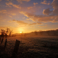 Buy canvas prints of Misty Meadow Arlescote Warwickshire by Michelle Bowler