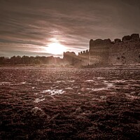 Buy canvas prints of Portchester Sunset by Michelle Bowler