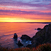Buy canvas prints of Hope Cove Sunset by Michelle Bowler