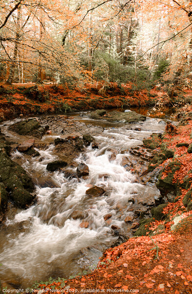 Shimna River - Tollymore Forest Park in Northern I Picture Board by Jennifer Nelson
