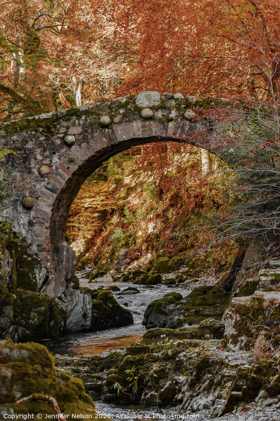 Foley's Bridge Tollymore Forest Park  Picture Board by Jennifer Nelson