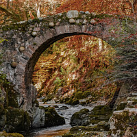Buy canvas prints of Foley's Bridge Tollymore Forest Park  by Jennifer Nelson