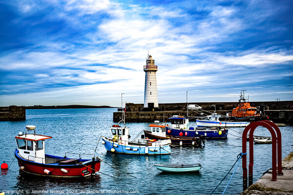 Donaghadee Harbour - Northern Ireland  Picture Board by Jennifer Nelson