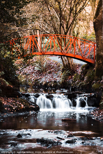 Red Bridge at Gosford Forest  Picture Board by Jennifer Nelson