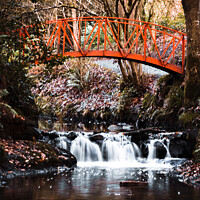 Buy canvas prints of Red Bridge at Gosford Forest  by Jennifer Nelson