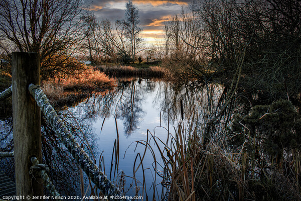 Reflections at Oxford Island Nature Reserve  Picture Board by Jennifer Nelson