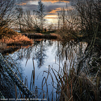 Buy canvas prints of Reflections at Oxford Island Nature Reserve  by Jennifer Nelson