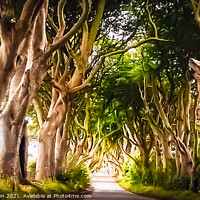 Buy canvas prints of The Dark Hedges Co. Antrim   by Jennifer Nelson