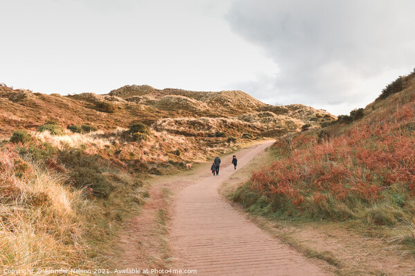 The Sand Dunes at Murlough Nature Reserve Northern Ireland  Picture Board by Jennifer Nelson