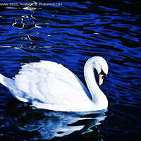 Buy canvas prints of Beautiful Swan by James Davies