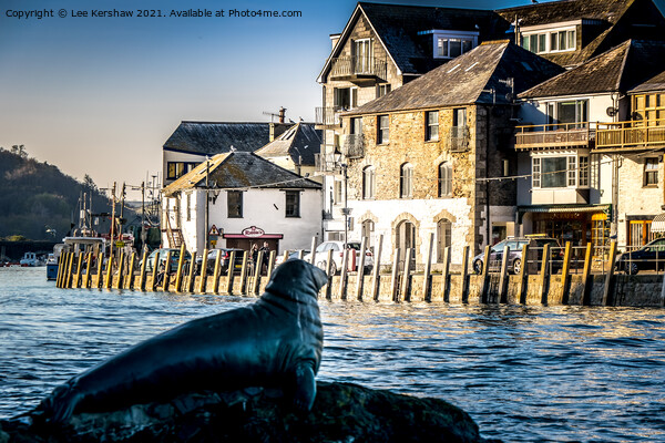 Nelson the Seal at Looe Picture Board by Lee Kershaw