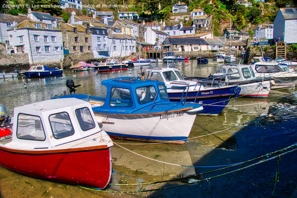 Serenity Captured in Polperro's Harbour Picture Board by Lee Kershaw