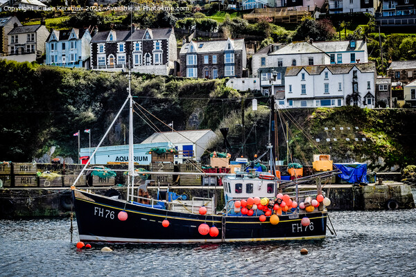 "Vibrant Mevagissey Fishing Boat Sets Sail" Picture Board by Lee Kershaw