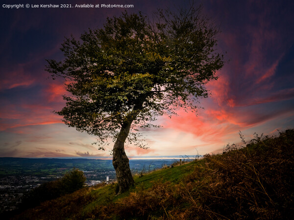 Radiant Solitude in the Cwmbran Landscape Picture Board by Lee Kershaw