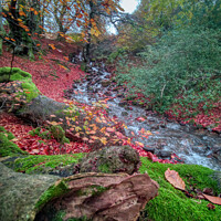 Buy canvas prints of "Nature's Symphony: Autumn Cascade" by Lee Kershaw