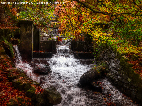 "Enchanting Symphony: Autumn's Graceful Cascade" Picture Board by Lee Kershaw