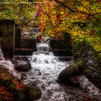 Buy canvas prints of "Enchanting Symphony: Autumn's Graceful Cascade" by Lee Kershaw