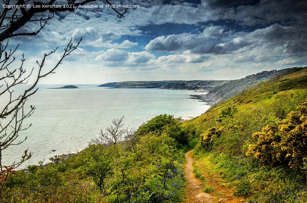 "Serene Path to Coastal Bliss" Picture Board by Lee Kershaw