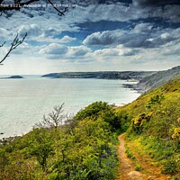 Buy canvas prints of "Serene Path to Coastal Bliss" by Lee Kershaw