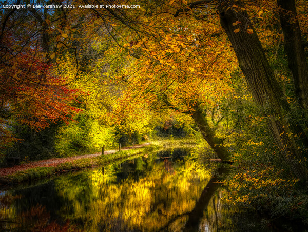 Autumn on the Monmouthshire and Brecon Canal Picture Board by Lee Kershaw