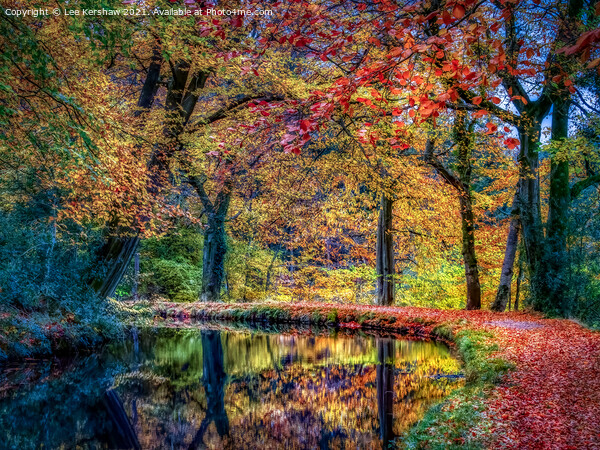 Monmouthshire and Brecon Canal in Autumn Picture Board by Lee Kershaw