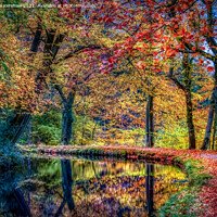 Buy canvas prints of Monmouthshire and Brecon Canal in Autumn by Lee Kershaw