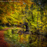 Buy canvas prints of Monmouthshire and Brecon Canal in Autumn by Lee Kershaw