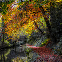 Buy canvas prints of Leaves to the Bridge by Lee Kershaw
