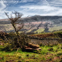 Buy canvas prints of The Brecon Beacons by Lee Kershaw