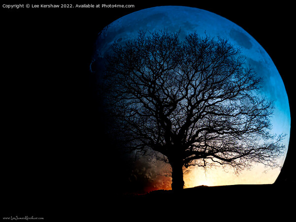 "Ethereal Lunar Silhouette" Picture Board by Lee Kershaw