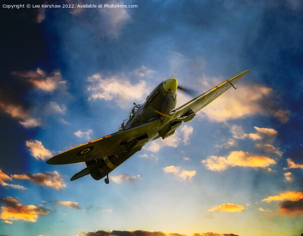 Triumph of the Skies Picture Board by Lee Kershaw