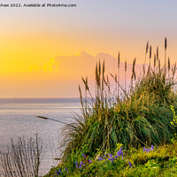 Buy canvas prints of Serene Sunrise Over Cornish Coastal Flowers by Lee Kershaw