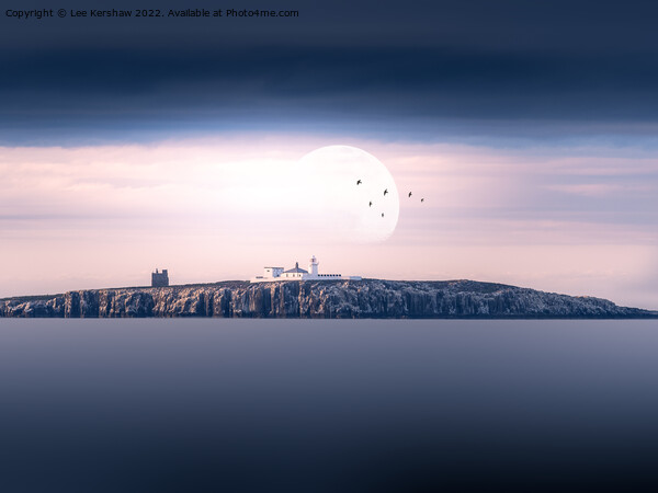 "Silent Serenity: Inner Farne Island Lighthouse" Picture Board by Lee Kershaw