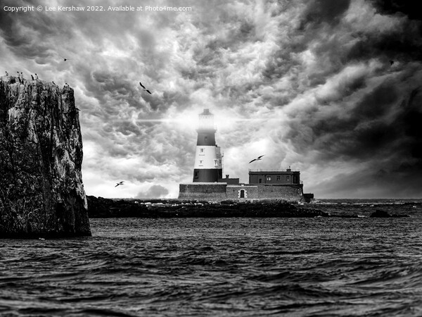 The Resilient Beacon of Longstone Lighthouse Picture Board by Lee Kershaw