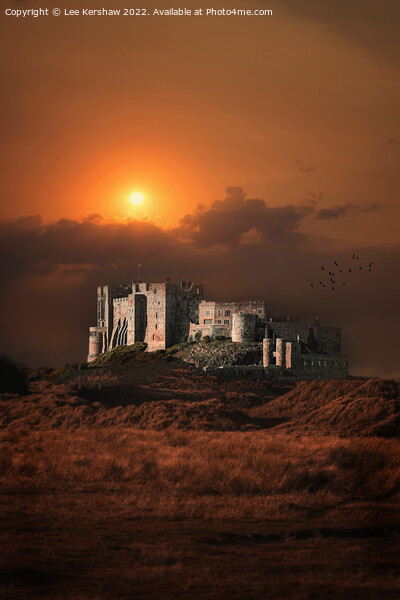 "Burning Splendor: Bamburgh Castle at Sunset" Picture Board by Lee Kershaw