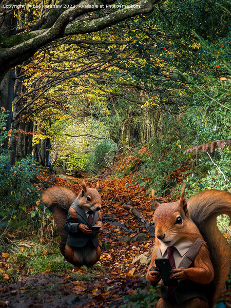 Nut Audit: A Hilarious Woodland Inspection Picture Board by Lee Kershaw