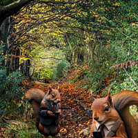 Buy canvas prints of Nut Audit: A Hilarious Woodland Inspection by Lee Kershaw