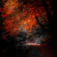 Buy canvas prints of "Autumn's Glowing Pathway" by Lee Kershaw