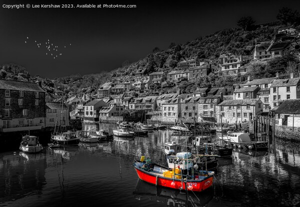 Polperro Harbour in Black and White with a dash of Colour Picture Board by Lee Kershaw