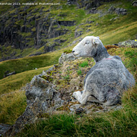 Buy canvas prints of Chilling Out in the Lake District by Lee Kershaw