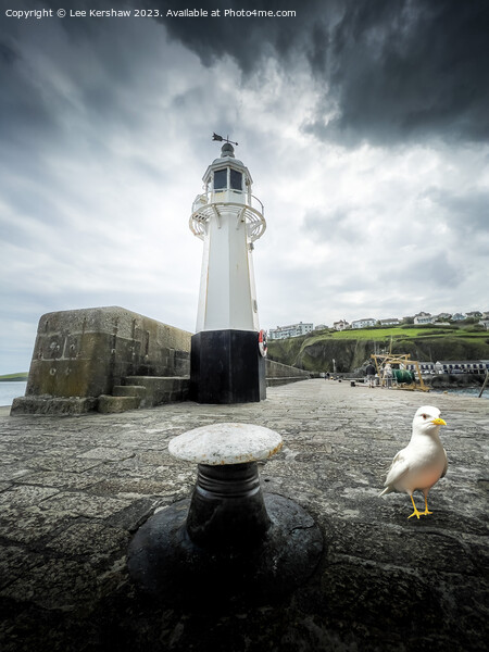 Enchanting Beacon of Mevagissey Harbour Picture Board by Lee Kershaw