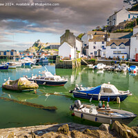 Buy canvas prints of Don't Feed the Birds (Polperro) by Lee Kershaw