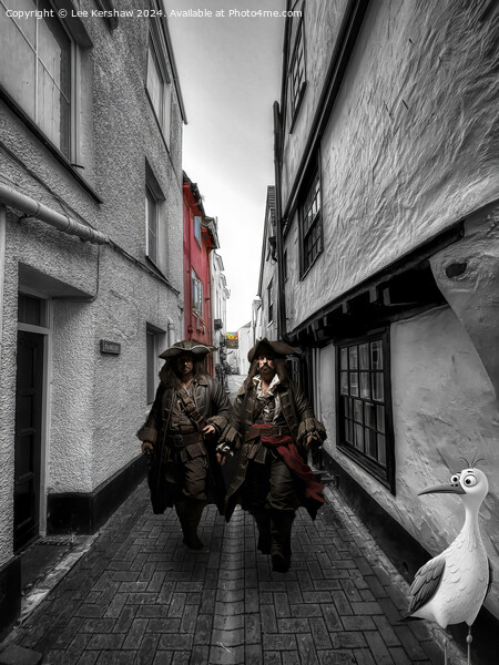 Pirates and Pesky Bird on the Backstreets of Looe Picture Board by Lee Kershaw