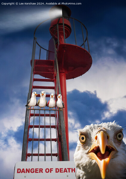 Pesky Birds in Danger on Banjo Pier in Looe Picture Board by Lee Kershaw